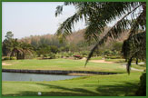Palm Hills golf Course