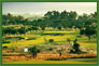 Partir Golfer