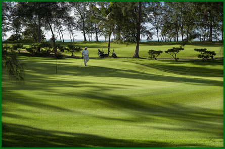 Golf de l'ile aux cerfs