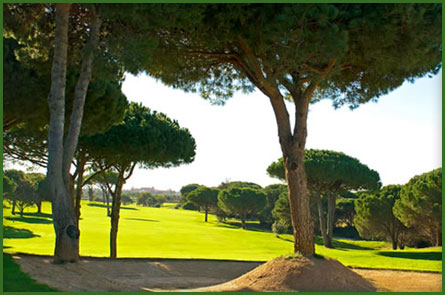 Real Novo Sancti Petri Golf Club