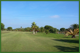 Barialto golf club