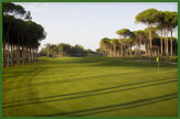 Carya Golf Club