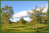 Castell'arquato golf club