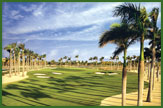 Doral Golf