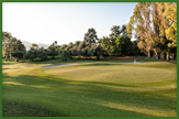 Guadalmina golf club