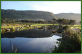 Hermanus Golf Club