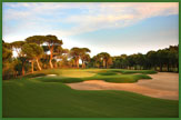 The Montgomerie Golf Club