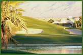 Oasis golf club