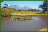 Royal Cape Golf Club