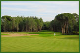 Sueno The Pines Golf Club