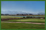 Partir Golfer
