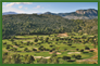 Partir Golfer