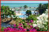 Movenpick Resort & Spa