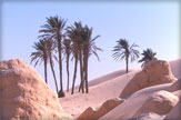 Séjour golf - Tunisie